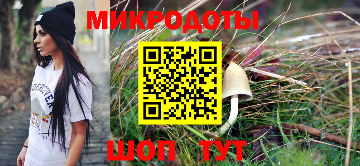 Великий Устюг  как найти закладки  Вход с VPN  Псилоцибиновые грибы Psilocybine cubensis 